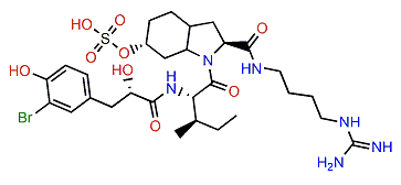 Aeruginosin 98C